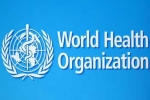 WHO, World Health Organization, usa withdraws from world health organization, Usa who