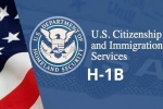 USICS on H1B visas, USICS latest report, uscis report claims more than 74 percent of indians accounted on h1b visas, Usics report