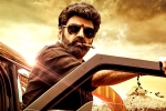 Veera Simha Reddy in Telangana, Veera Simha Reddy, veera simha reddy sankranthi weekend collections, Varalaxmi sarathkumar