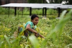 NRIs in Punjab, NRIs in Punjab, villagers in punjab relying more on nris for development than on politicians, Female students