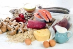 Vitamin B12 Deficiency latest, Vitamin B12 Deficiency latest, food sources to overcome vitamin b12 deficiency, Infertility