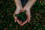 earth, world earth day, what can you do to save earth, Earth day