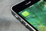 WhatsApp stickers, WhatsApp, whatsapp rolls out new calling effects animations and stickers, Puppy