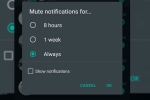 Whatsapp, customization, whatsapp to bring always mute option for chats on android, Doodle