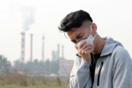 Winter Allergies Vs Pollution reasons, Winter Allergies Vs Pollution analysis, winter allergies vs pollution real reasons, Winter allergies