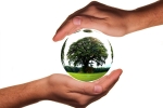 are we doing enough to save the planet, you can save the earth book, world environment day here s how you can save the planet with these simple steps, Environmental protection