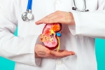 Kidney Health, Kidney Health food, top fruits that are good for kidney health, Apes
