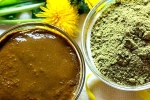 Henna, Henna breaking news, how henna helps for hair growth and health, Protein