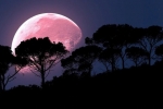 super pink moon, super pink moon, april s super pink moon to rise today biggest of the year, Supermoon super pink moon, super pink moon, april s super pink moon to rise today biggest of the year, Supermoon
