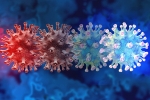 C.1.2 variant research, new coronavirus variant, latest coronavirus variant evades vaccine protection, Mauritius