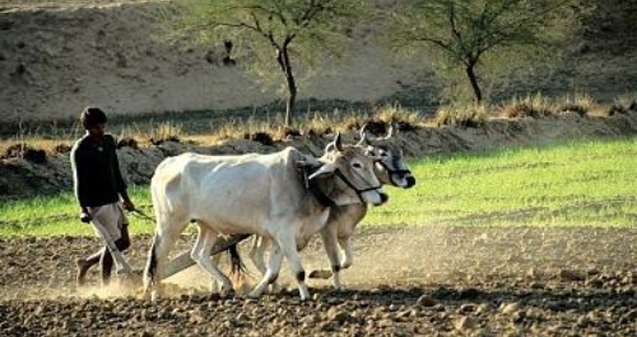 Purchase of Agricultural Land in India by NRIs - Foreigners