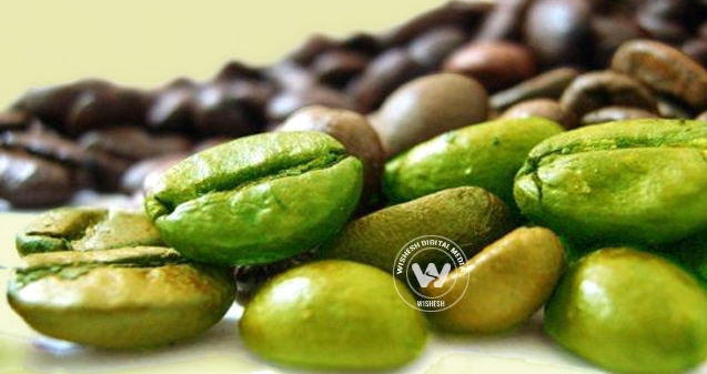 Green Coffee Bean extract is the new slimming mantra},{Green Coffee Bean extract is the new slimming mantra