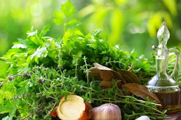 7 Herbs that helps for better immune system},{7 Herbs that helps for better immune system