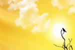 National Centre of Meteorology and Seismology, NCMS, friday is the longest day of the year, Uae news