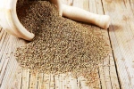 Carom Seeds, Ajwain India, benefits of adding carom seeds to your diet, Viral