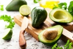 Avocado latest breaking, Avocado latest updates, add avocado in your diet to lose weight, Crashes