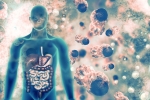 COVID-19, doctors, covid 19 can affect almost all organs experts at aiims, Vastav