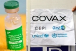 Covishield news, Indian government, sii to resume covishield supply to covax, Covax