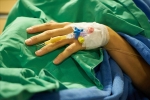 nipah virus symptoms, nipah virus life cycle, here s how you can prevent deadly infection nipah virus from affecting you, Nipah virus
