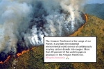 Amazon rainforest fires, amazon rainforest plants, in pictures devastating fires in amazon rainforest visible from space, Sao paulo