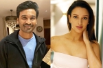 Triptii Dimri and Dhanush, Triptii Dimri breaking updates, dhanush to romance animal actress triptii dimri, Vidya