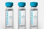 EUL, EUL for Covaxin latest updates, who delays the eul decision on covaxin, Covaxin