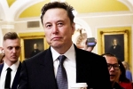 Donald Trump, Elon Musk vs Trump Supporters news, elon musk vs trump supporters over indian immigrants, Indian immigrants