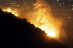 California Wildfire damage, California Wildfire breaking, fresh fire erupts in los angeles, Hollywood