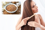 Flaxseeds breaking news, Flaxseeds breaking news, how flaxseeds can help for a long and healthy hair, Your hair