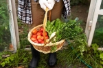 Fruits and Veggies news, Fruits and Veggies homemade, fruits and veggies that are easy to grow at home, Young man