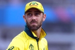 Glenn Maxwell controversy, Glenn Maxwell runs, australian cricketer glenn maxwell s shocking drinking session, Glenn maxwell