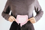 Gut Vs Skin relation, Gut Vs Skin tips, your gut decides about your skin, Nv prasad