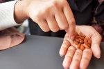 Healthy Evening Snack Options to Lose Weight