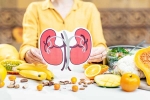Kidneys Health doctors, Kidneys Health, how to keep your kidneys healthy, Potatoes