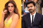 Kriti Sanon, Kriti Sanon with Vamshi Paidipally, kriti sanon to romance vijay in his next, Kadi