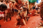 la tomatina tickets, la tomatina 2019 barcelona, la tomatina 2019 thousands hurl fruit at fun food festival, La tomatina