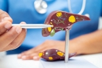 Liver Health breaking, Liver Health latest, factors that worsens your liver health, Smoking