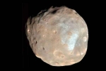 Martian Moon breaking, Martian Moon new breaking, nasa s pic of martian moon phobos breaks the internet, Rom com