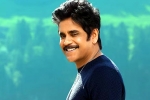 Nagarjuna and Rashmika Mandanna news, Nagarjuna and Rashmika Mandanna new movie, nagarjuna s surprise in dhanush s film, Sai pallavi