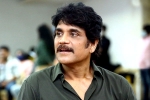 Nagarjuna, Nagarjuna upcoming film, nagarjuna in a periodic drama, Mohan raja