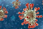 China, China Covid Row cases, new china coronavirus variant traced in india, Omicron
