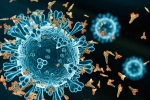 XEC Covid Variant symptoms, XEC Covid Variant breaking, new xec covid variant detected in 27 countries, Omicron