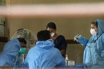 Nipha virus in hyderabad, symptoms of Nipha virus, nipah virus alerts hyderabad with symptoms from two suspected victims, Nipah virus