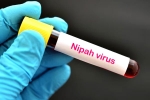 Nipah Virus, Nipah Virus, nipah virus is back again two deaths registered, Nipah virus