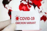 Omicron USA latest updates, Anthony Fauci, omicron is no worse than other variants says us scientists, Omicron usa