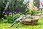 Plants that attract Snakes, Snakes, five plants that attract snakes at home, Madhya pradesh