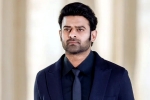 Prabhas next film, Prabhas next film, new updates of prabhas and maruthi film, Raja deluxe