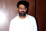 Prabhas film updates, Prabhas film breaking news, two beauties locked to romance prabhas, Raja deluxe