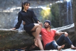 Rogue movie rating, Ishaan Rogue movie review, rogue movie review, Mannara chopra