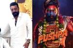 Mythri Movie Makers, Pushpa: The Rule, sanjay dutt s surprise in pushpa the rule, Jagapathi babu